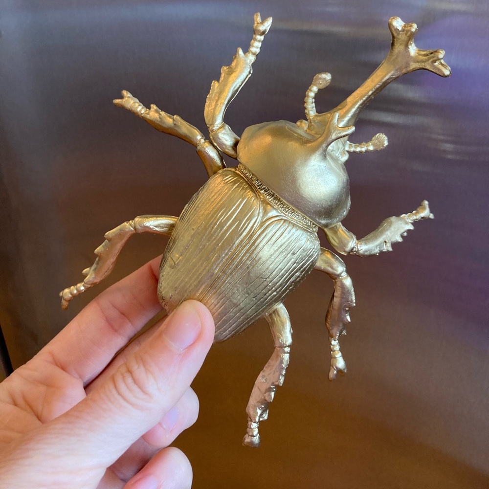 Cool gold scarib beetle